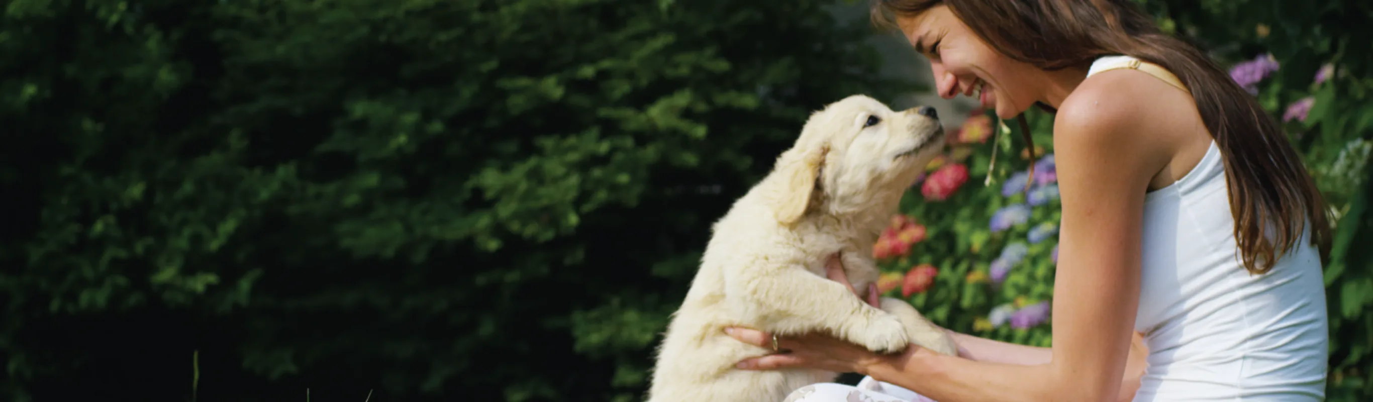 Contact A Veterinarian In Kanata ON Liston Animal Hospital contact-a-veterinarian-in-kanata-on-liston-animal-hospital